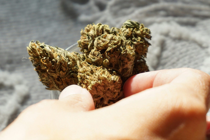 Buy Weed in Ireland
