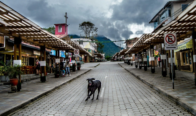 buy weed in ecuador