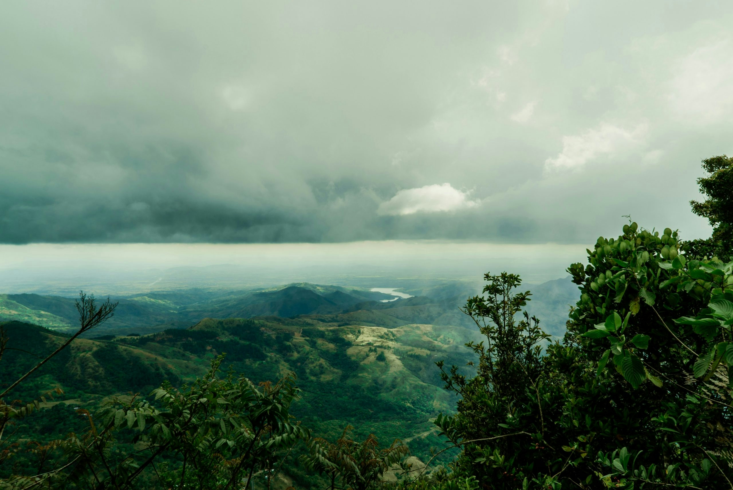 Buy Weed in panama