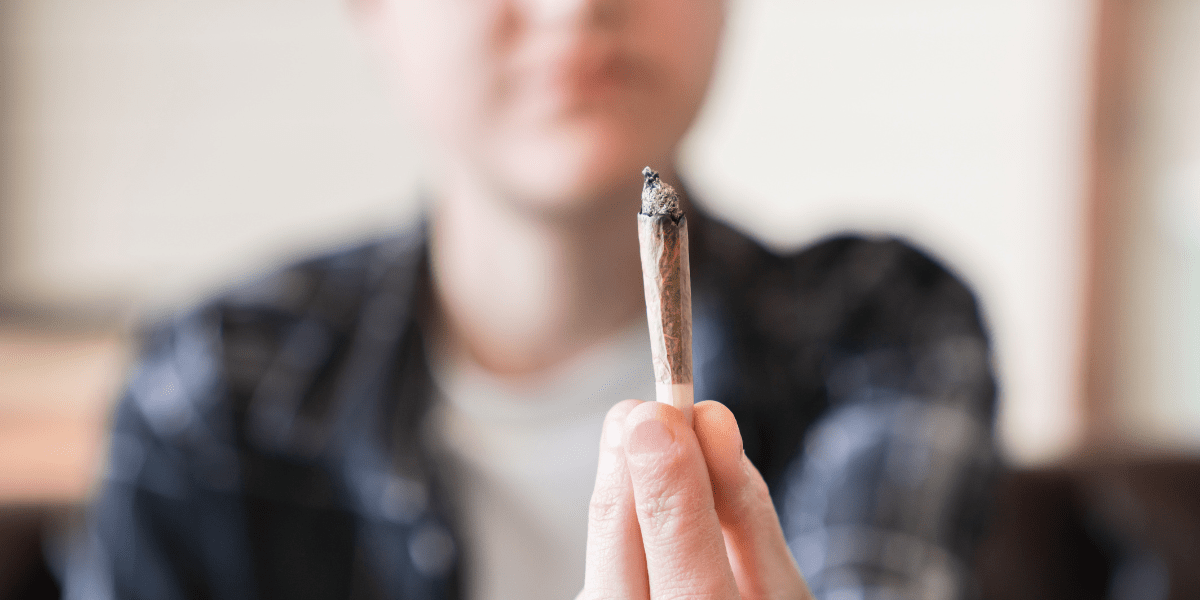 white ash vs black ash weed