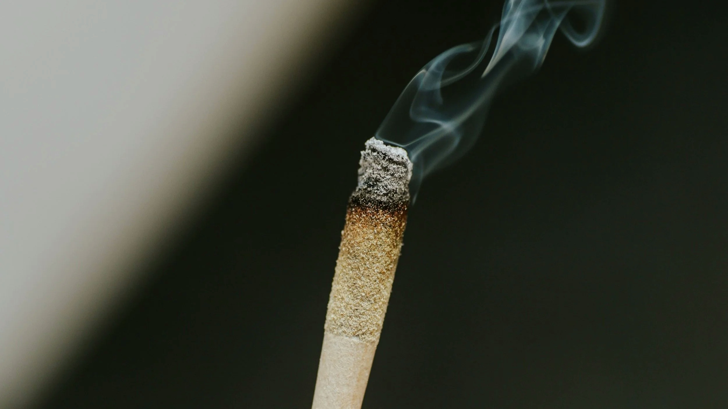 white ash vs black ash weed