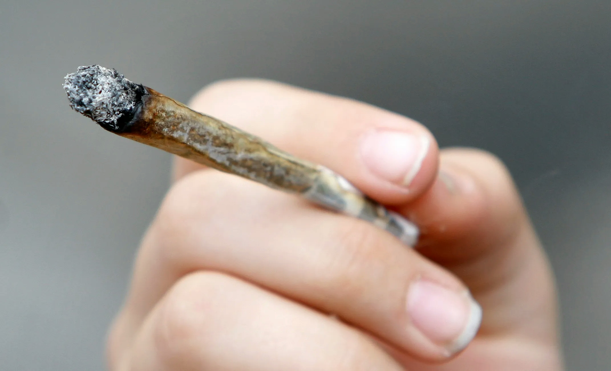 white ash vs black ash weed