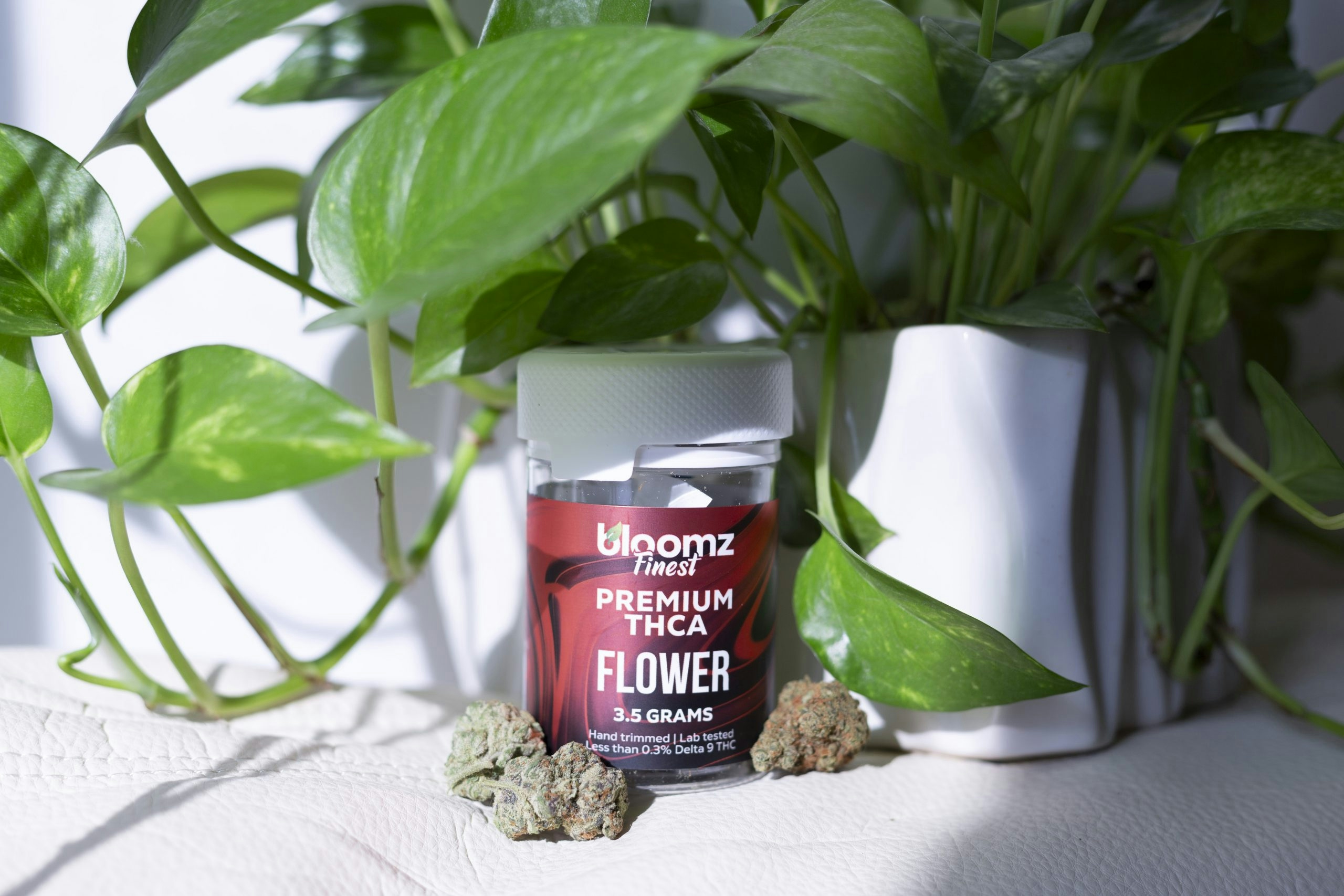 best thca flower