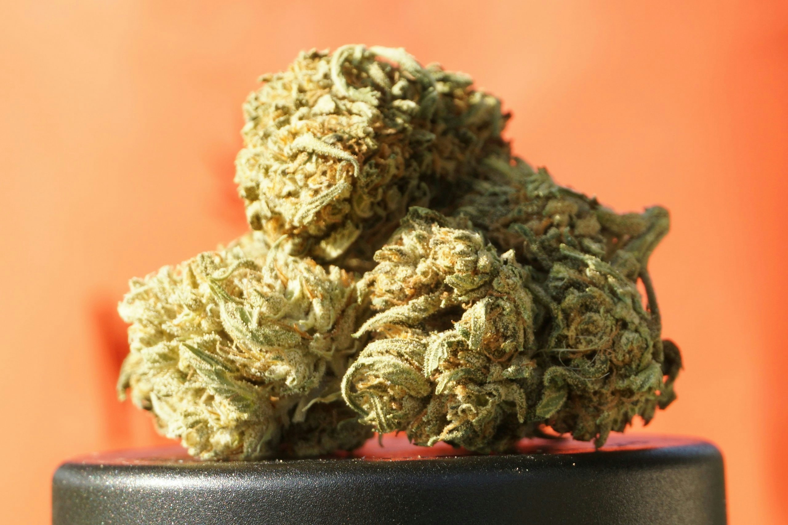best thca flower