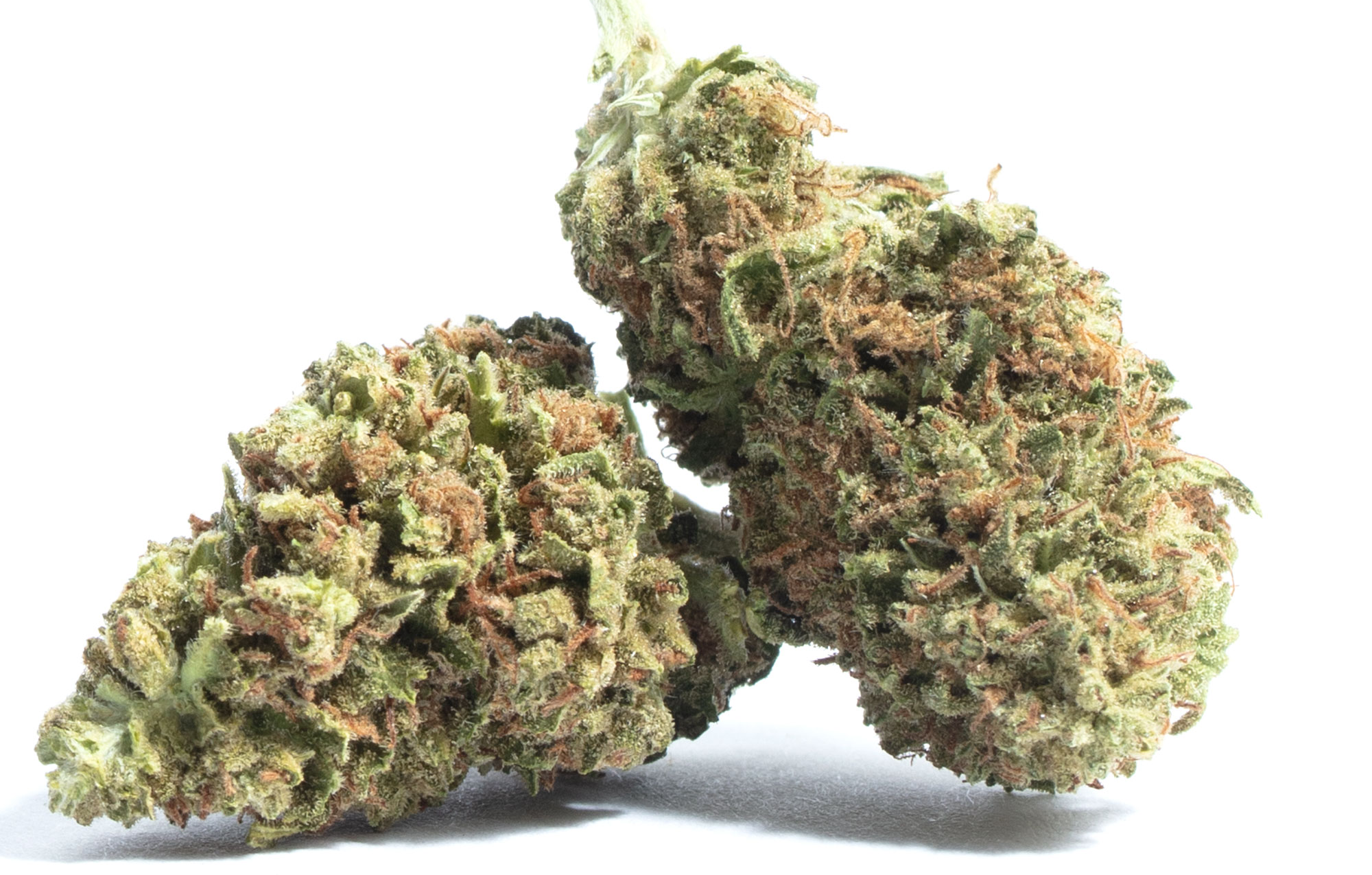 Best tasting weed strains