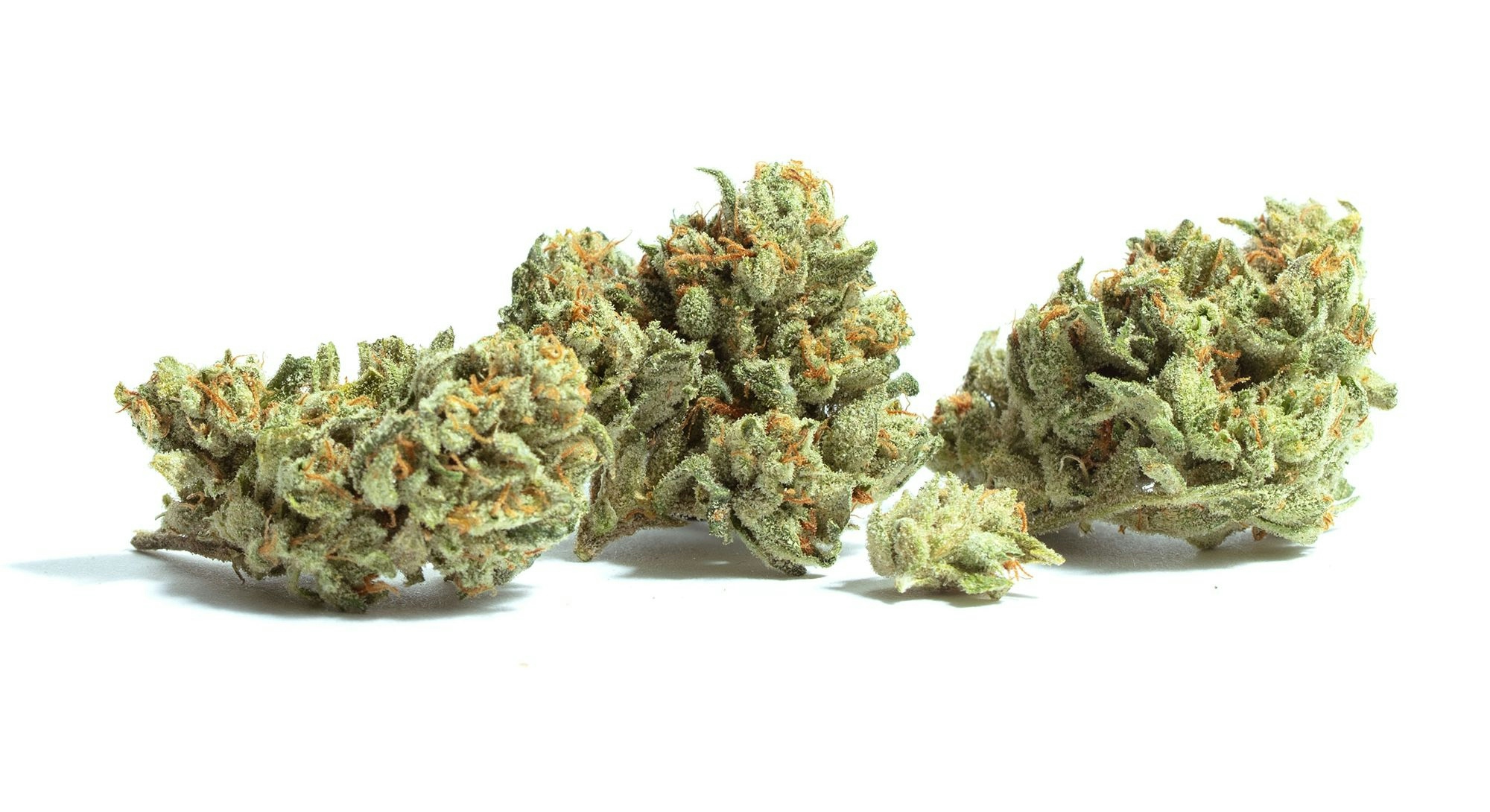 Best tasting weed strains