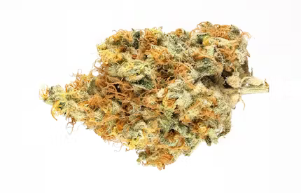 Best tasting weed strains