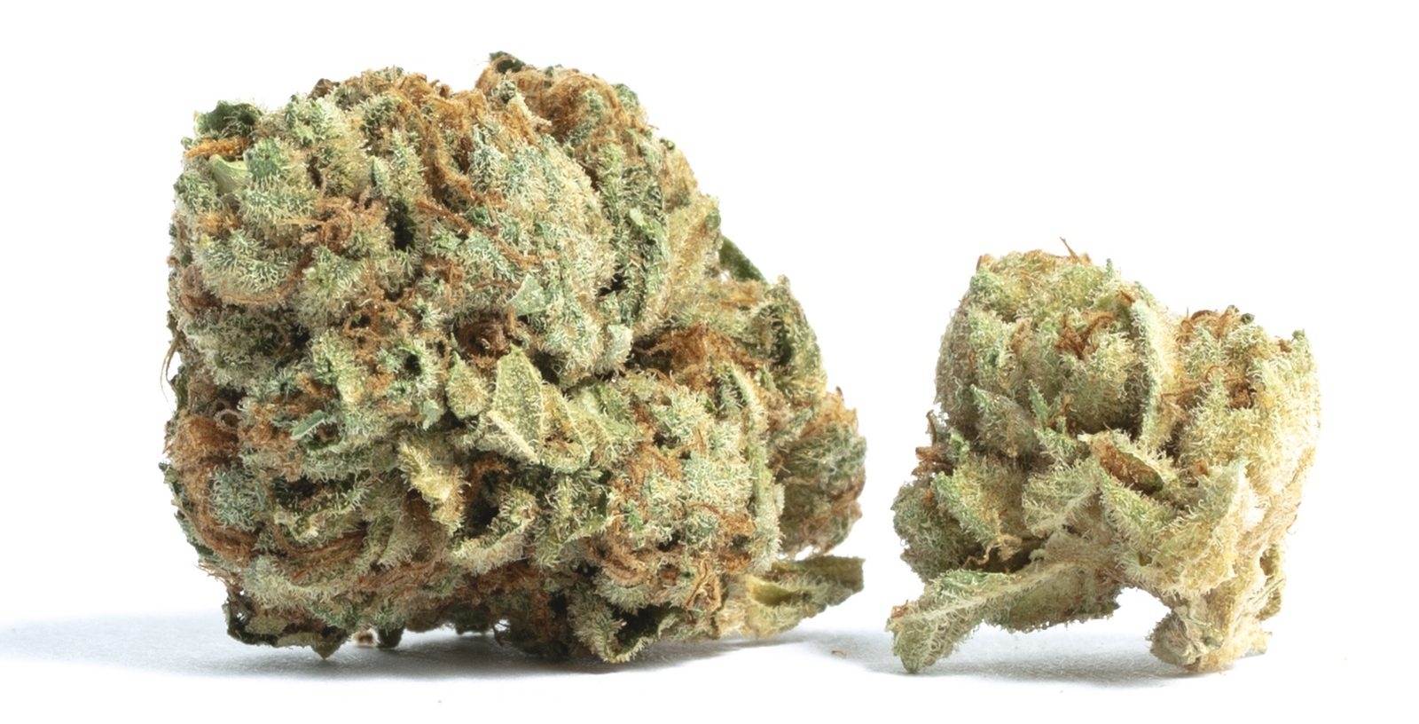 Best tasting weed strains