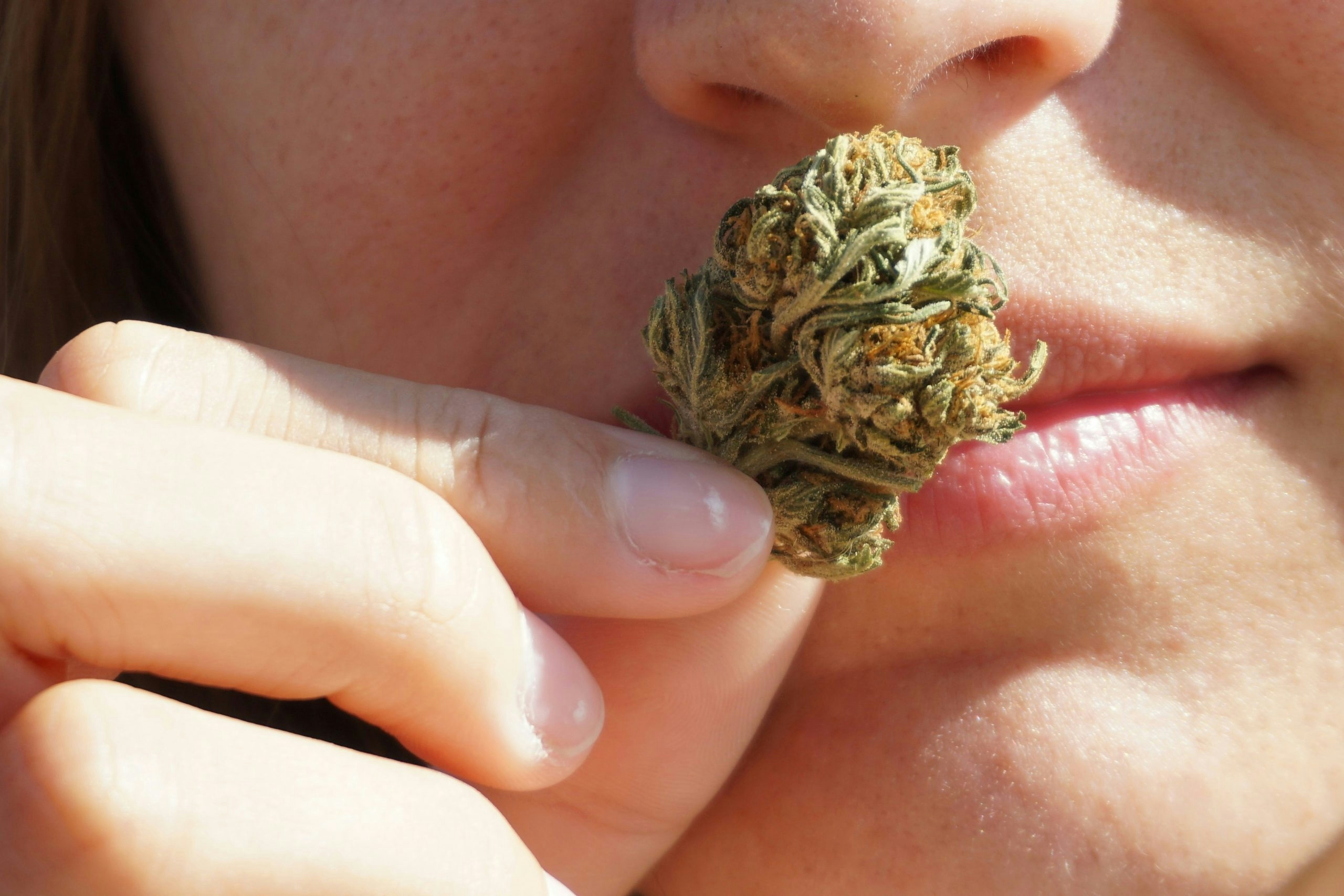 Best tasting weed strains