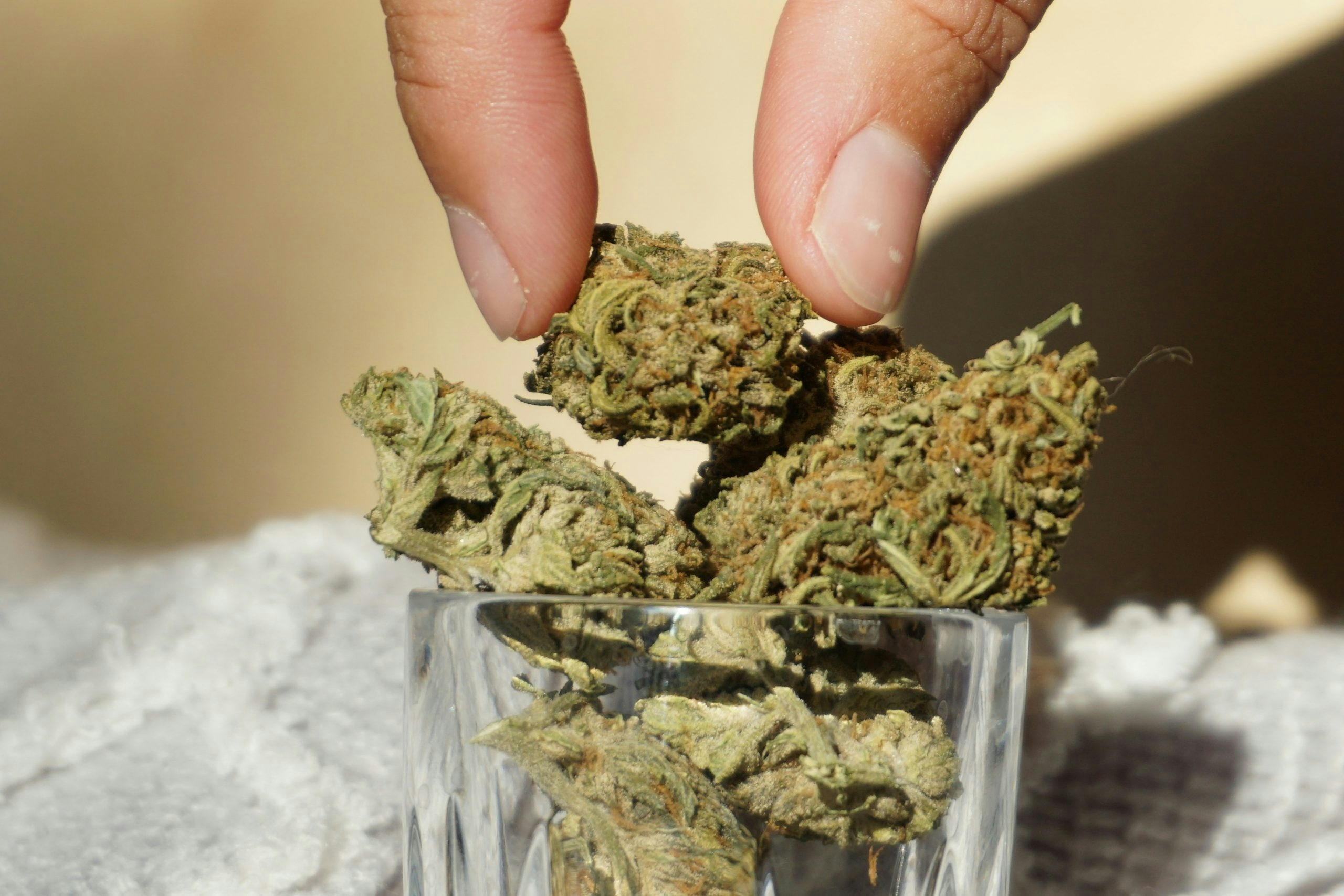 Best tasting weed strains