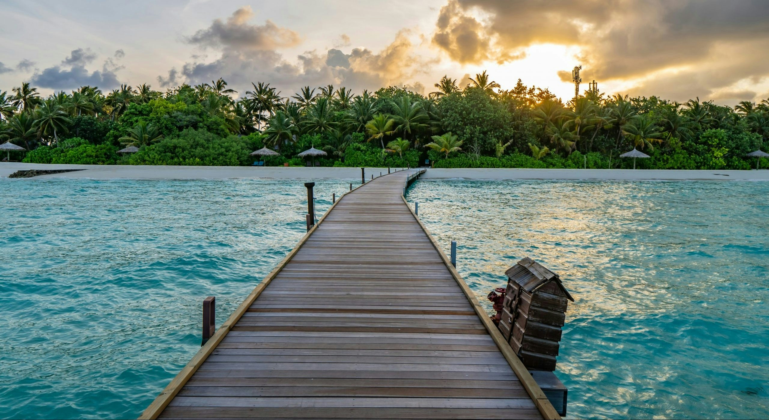 BUY WEED IN MALDIVES