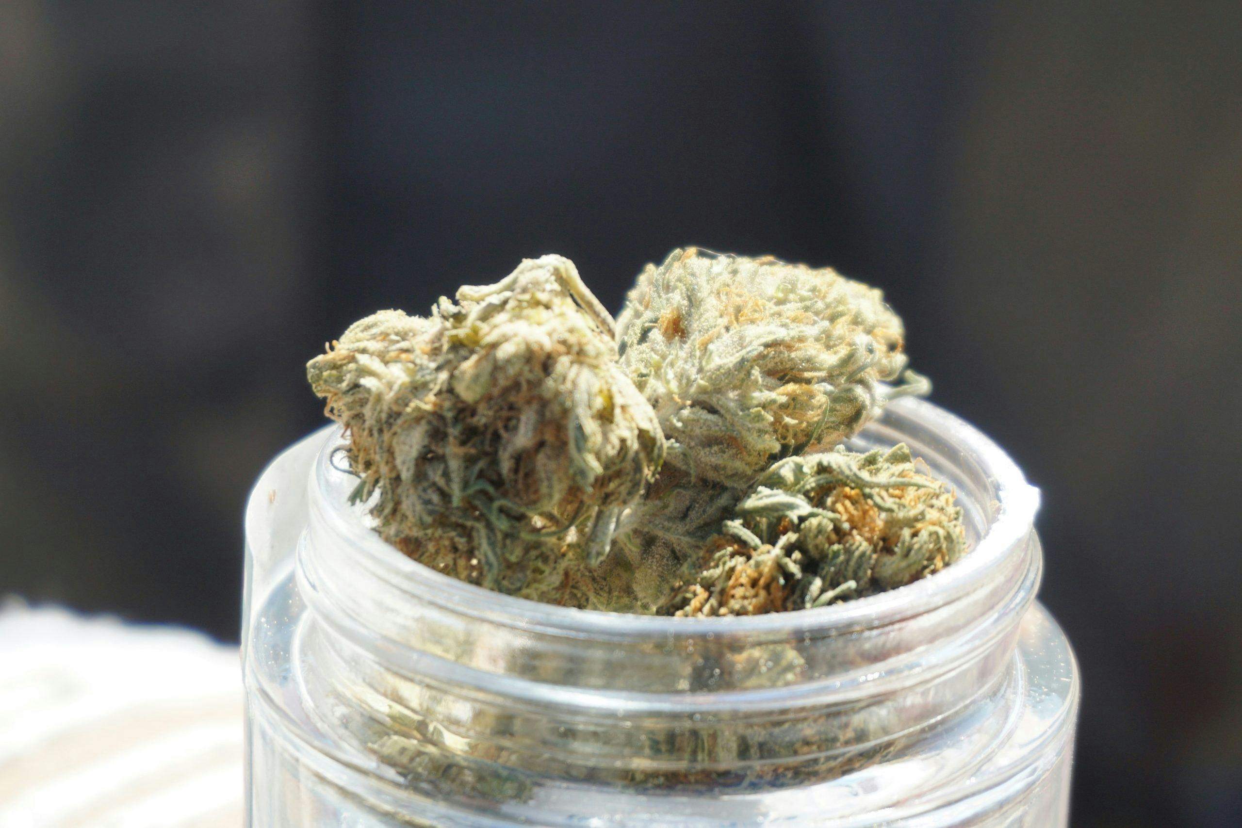 best og strains
