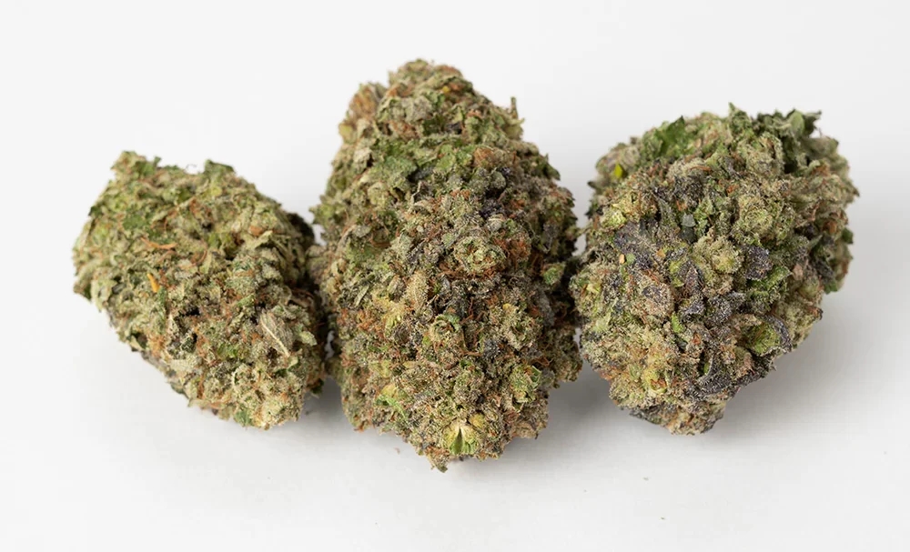 The Best High Myrcene Strains: 10 Picks for Deep Relaxation and Earthy Flavor