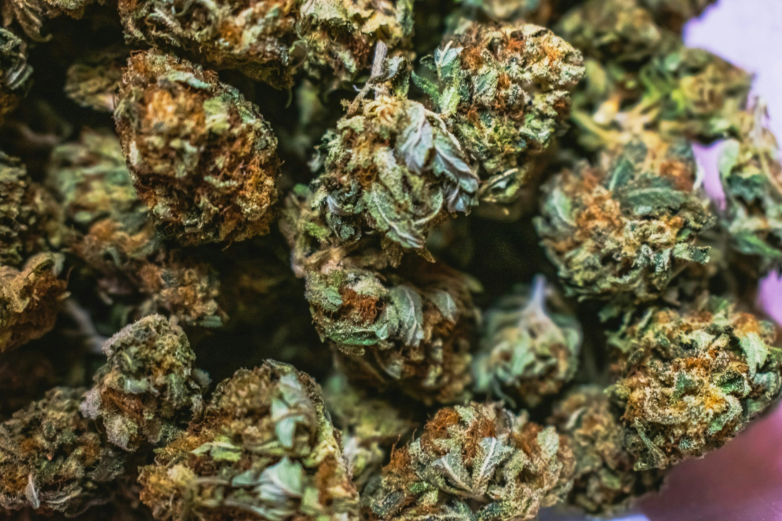 best high myrcene strains