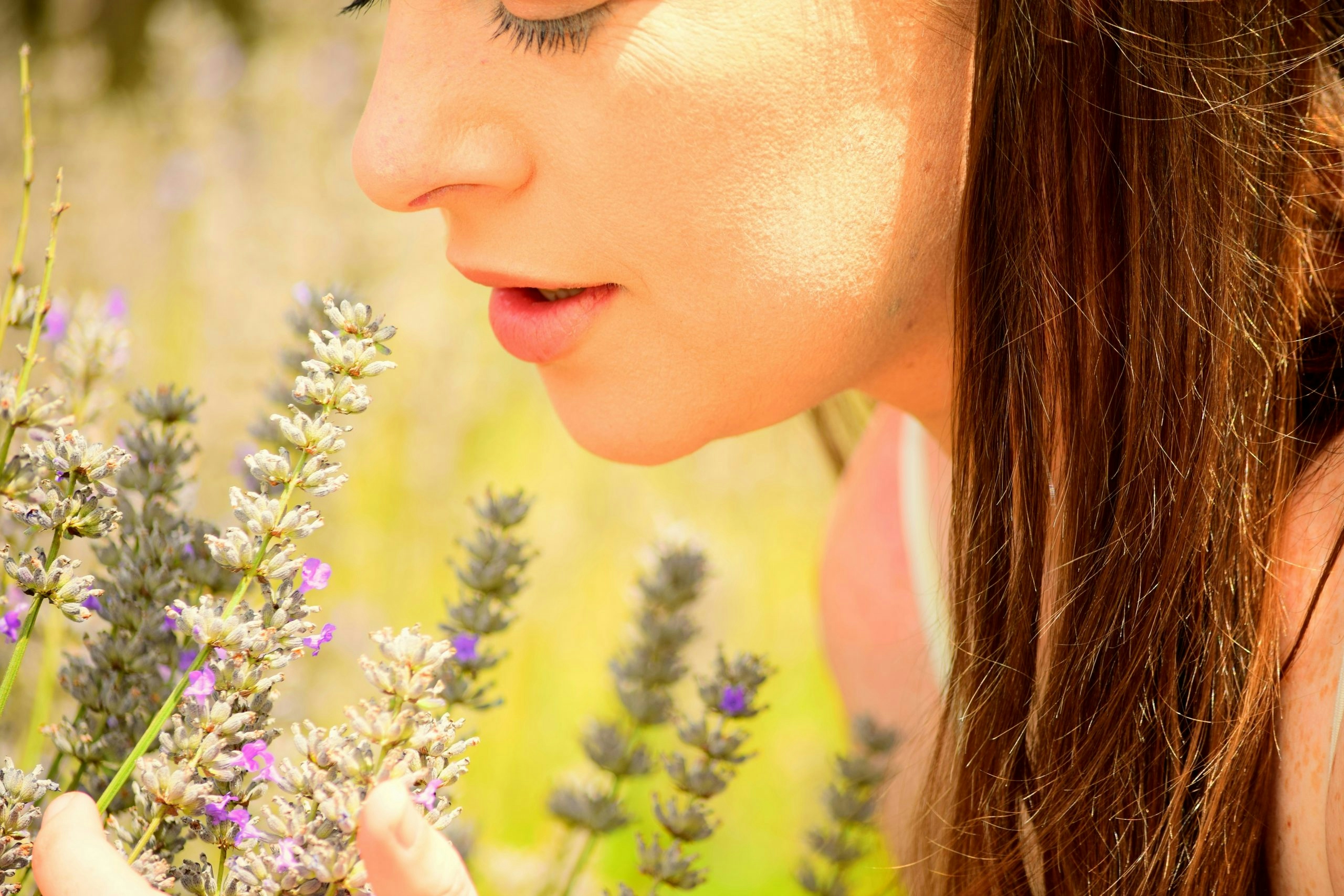 best high myrcene strains