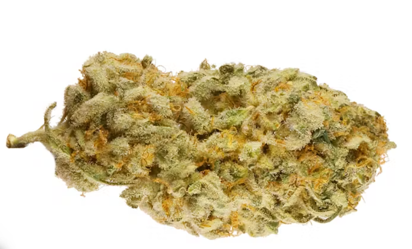 high terpinolene strains