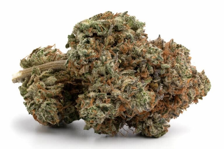 high terpinolene strains