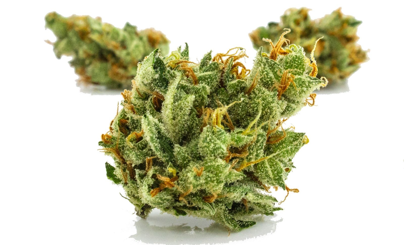 high terpinolene strains