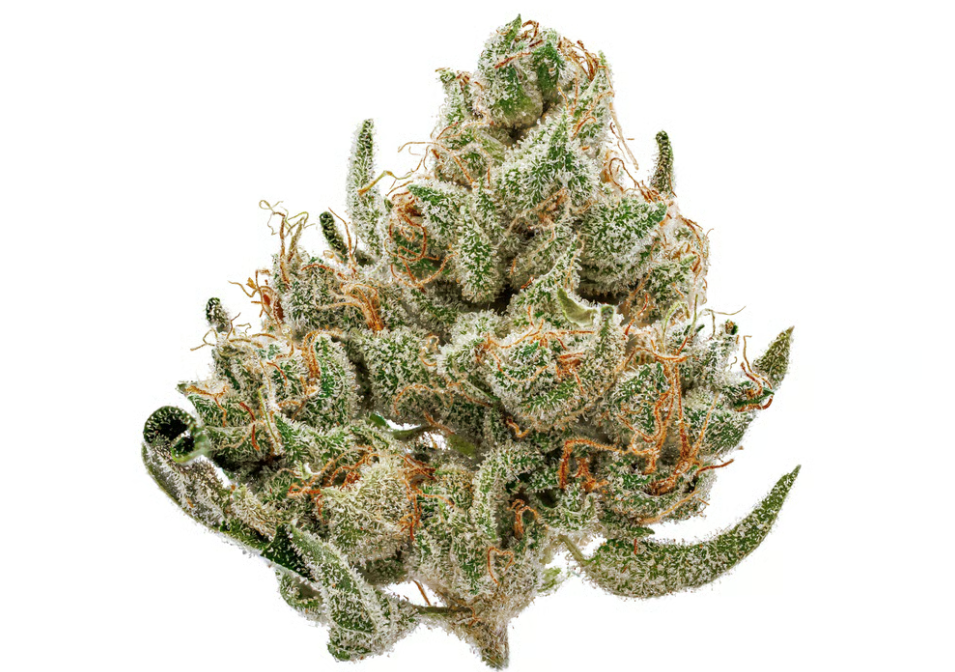 high terpinolene strains