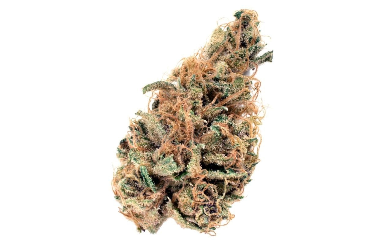 high terpinolene strains