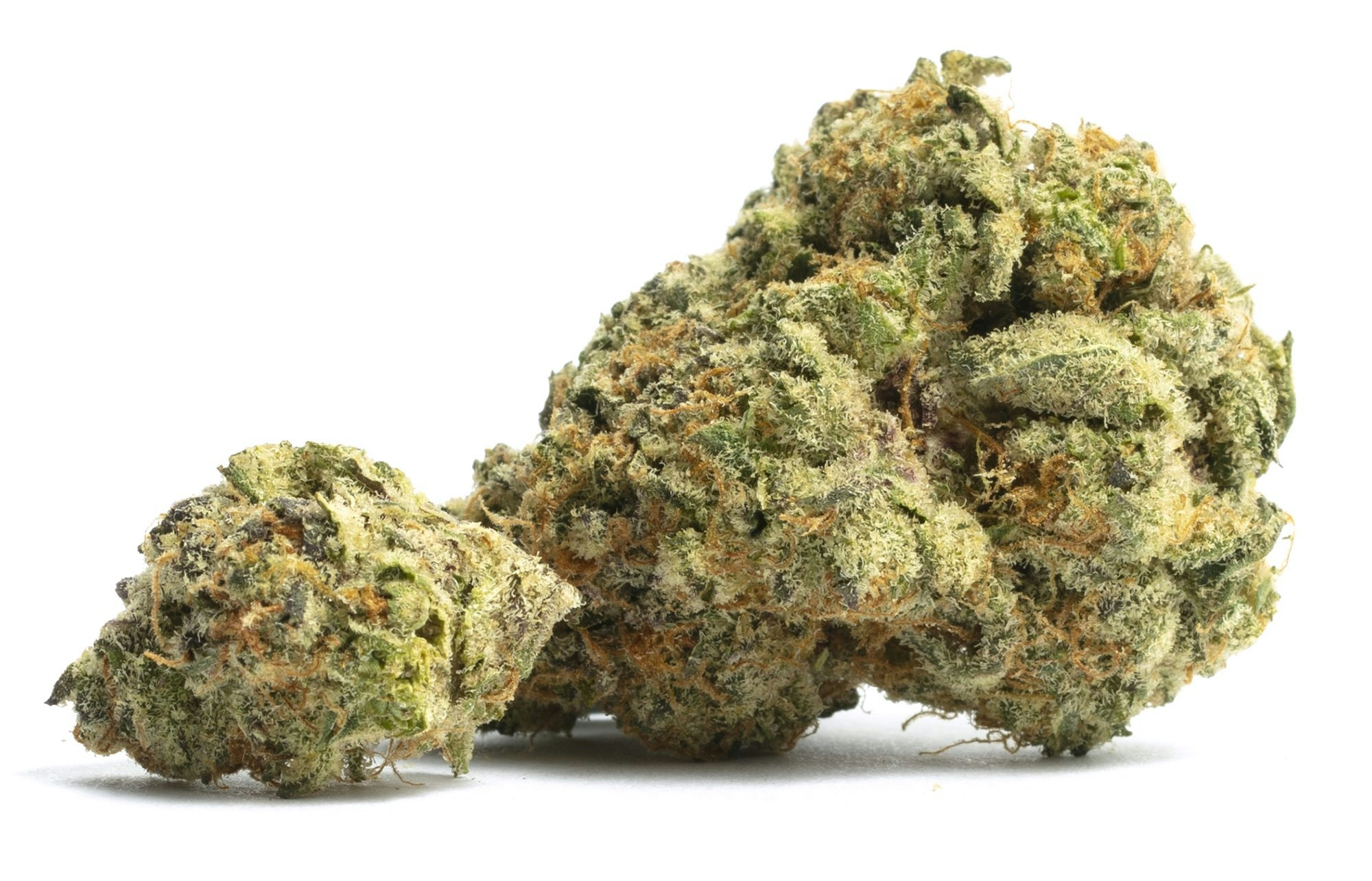 high terpinolene strains
