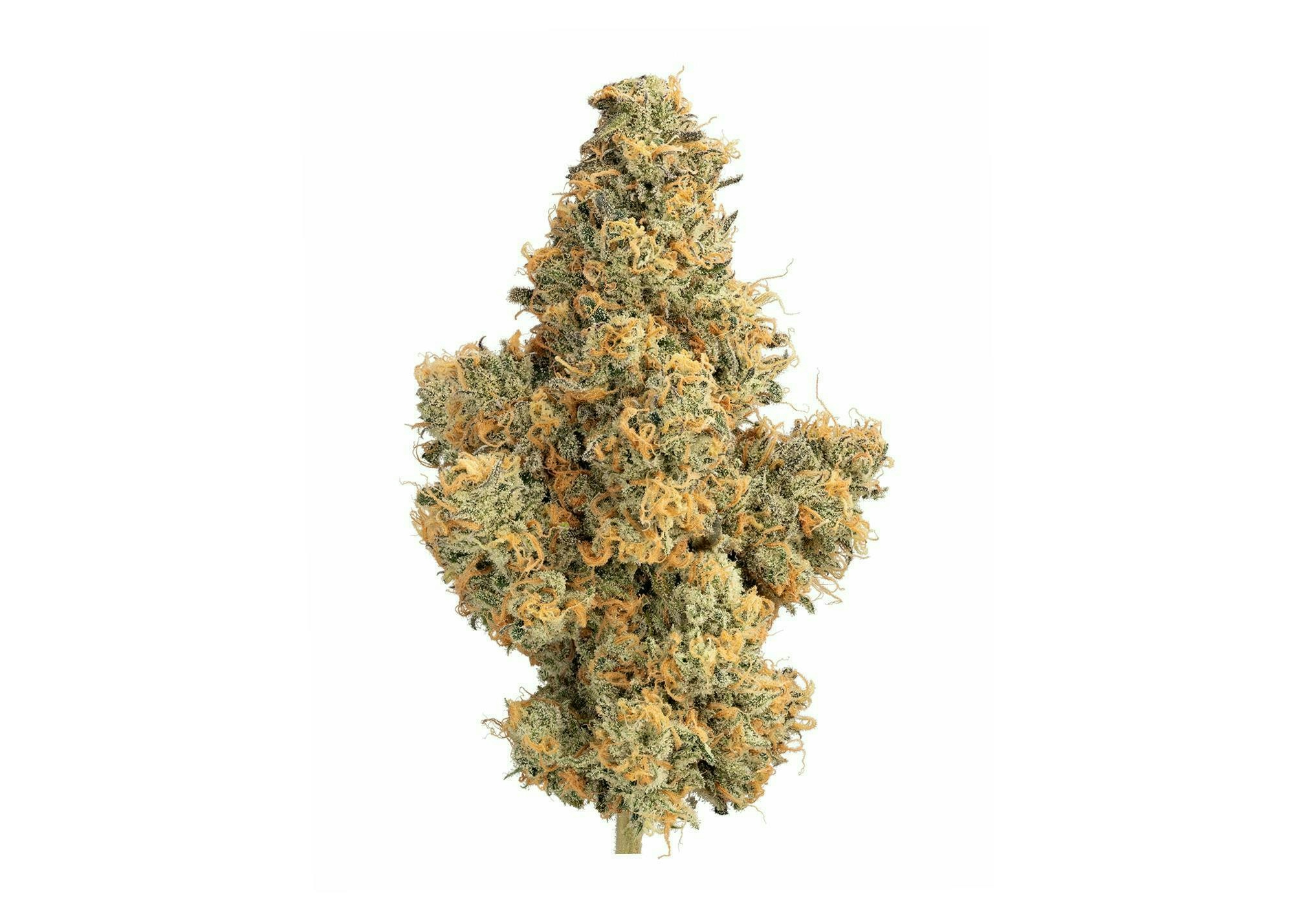 highest pinene strains