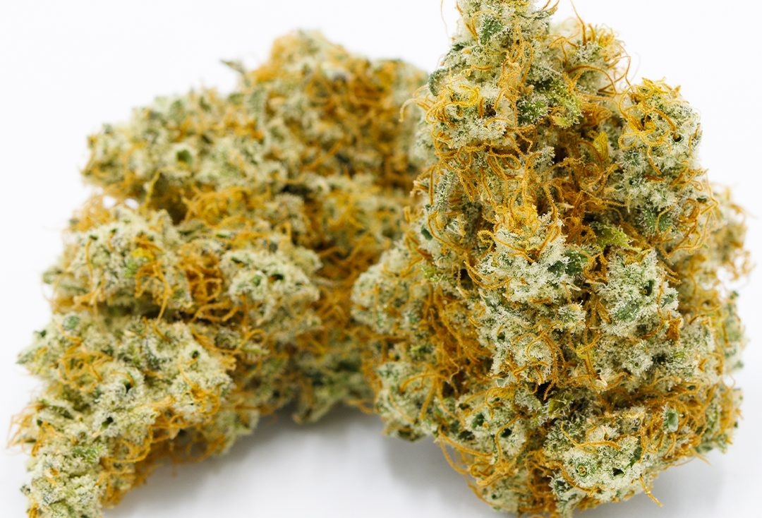 highest pinene strains
