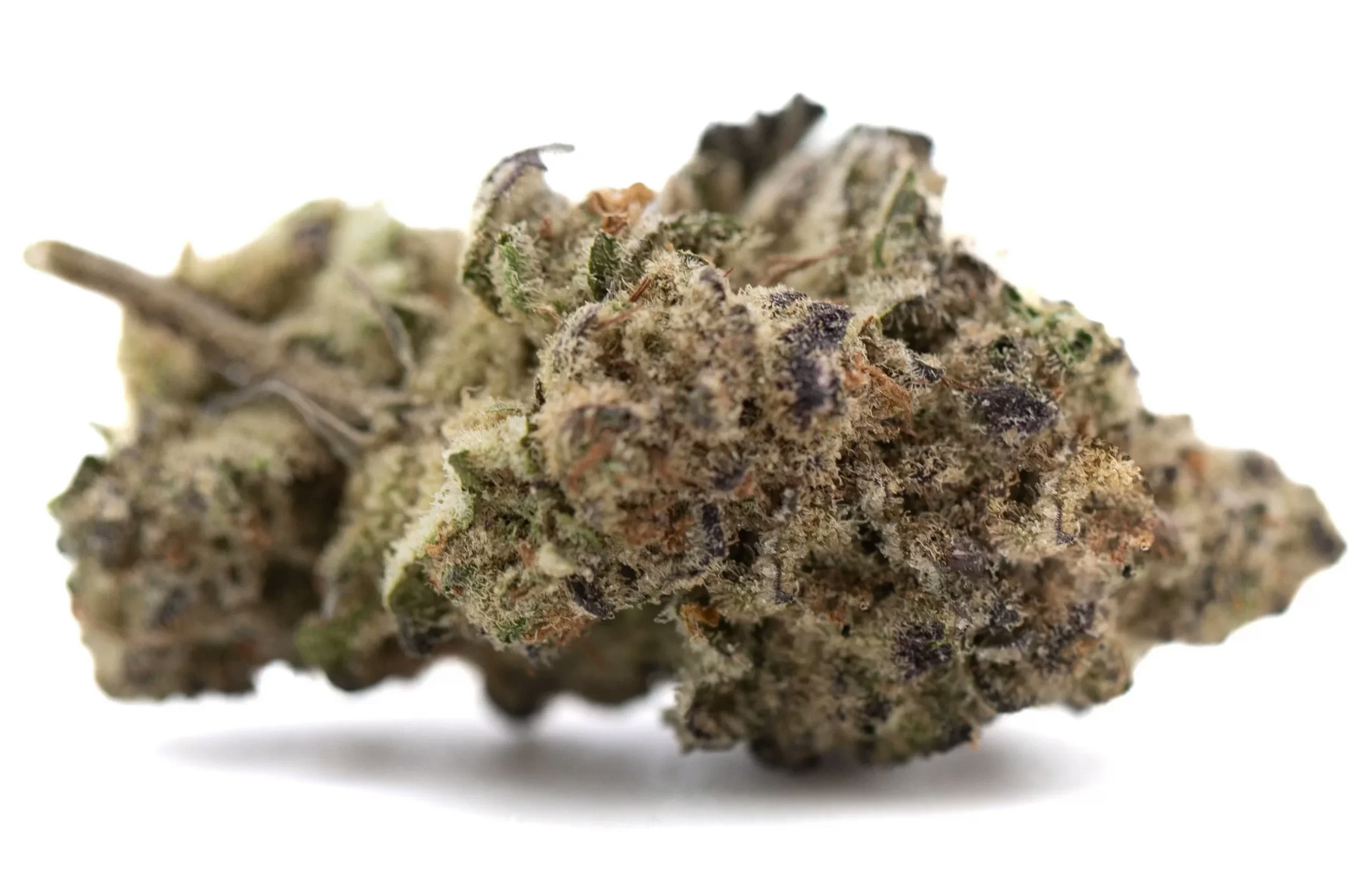 highest pinene strains