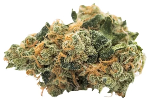 highest pinene strains