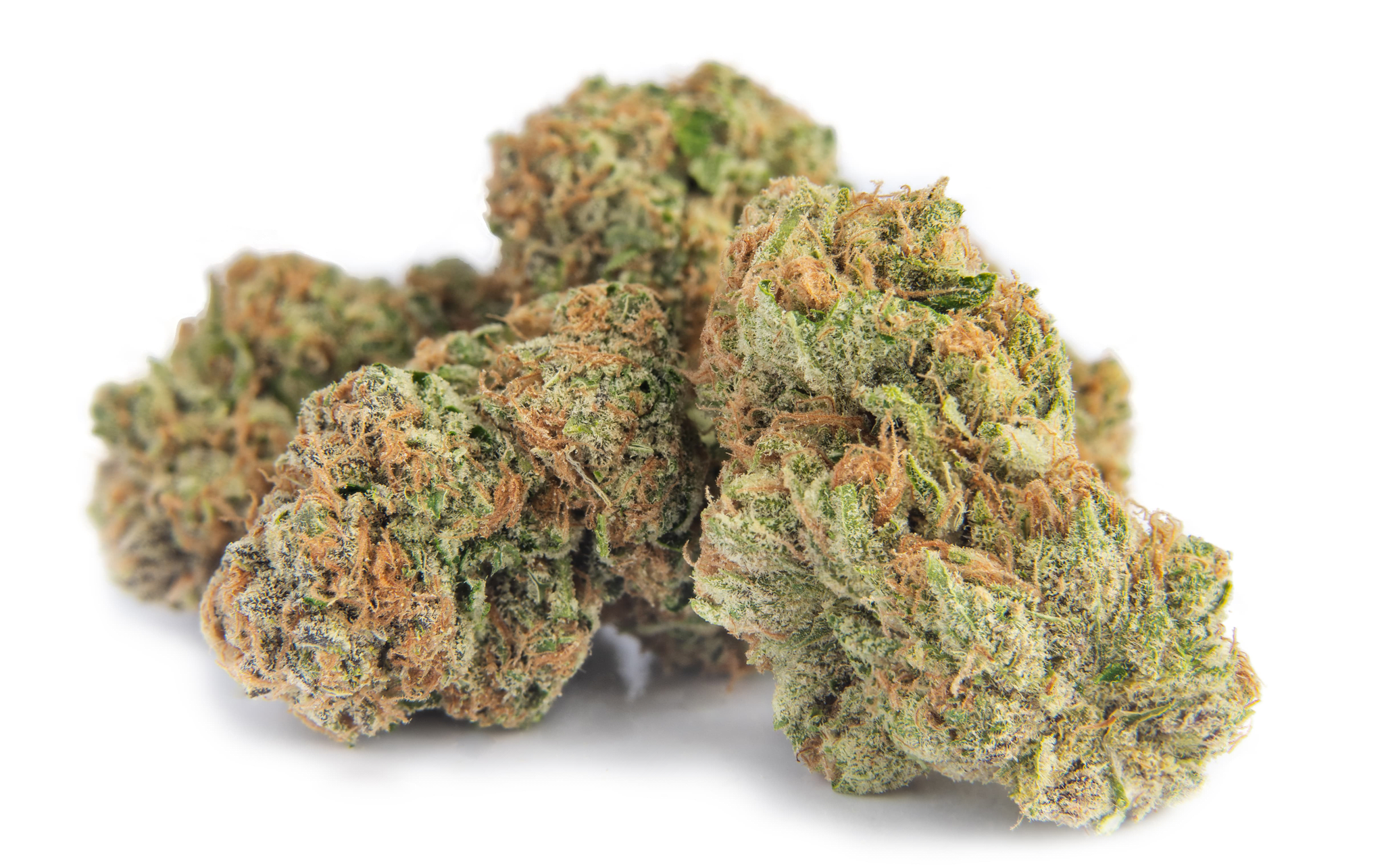 highest pinene strains