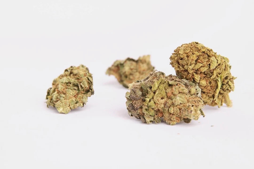 highest pinene strains