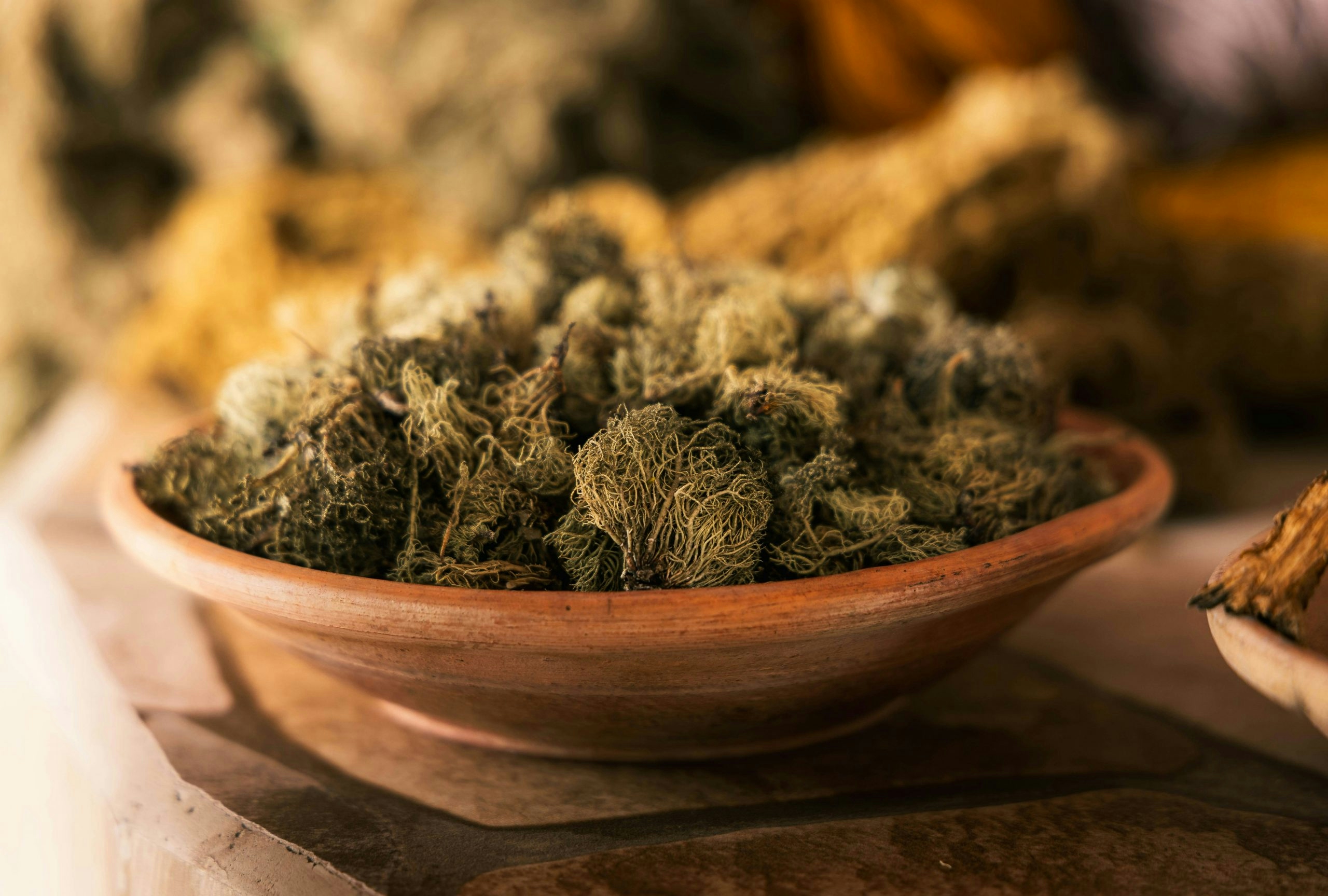 highest pinene strains