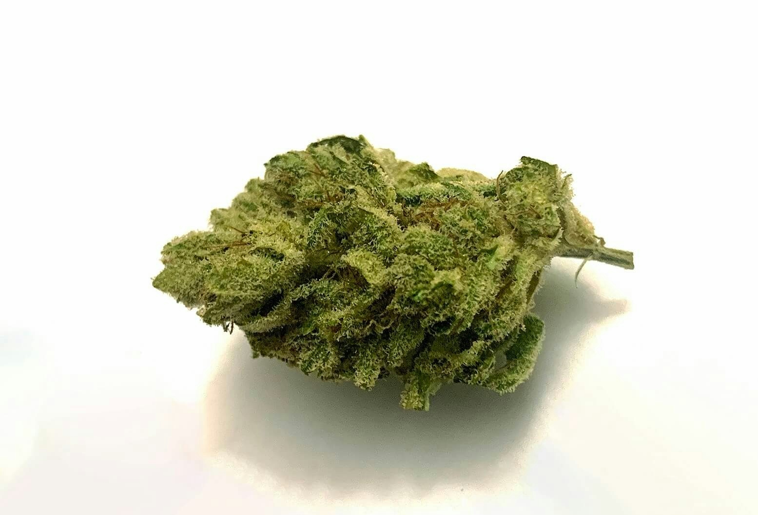 Detailed view of mature Jungle Cake strain with dense bud structure