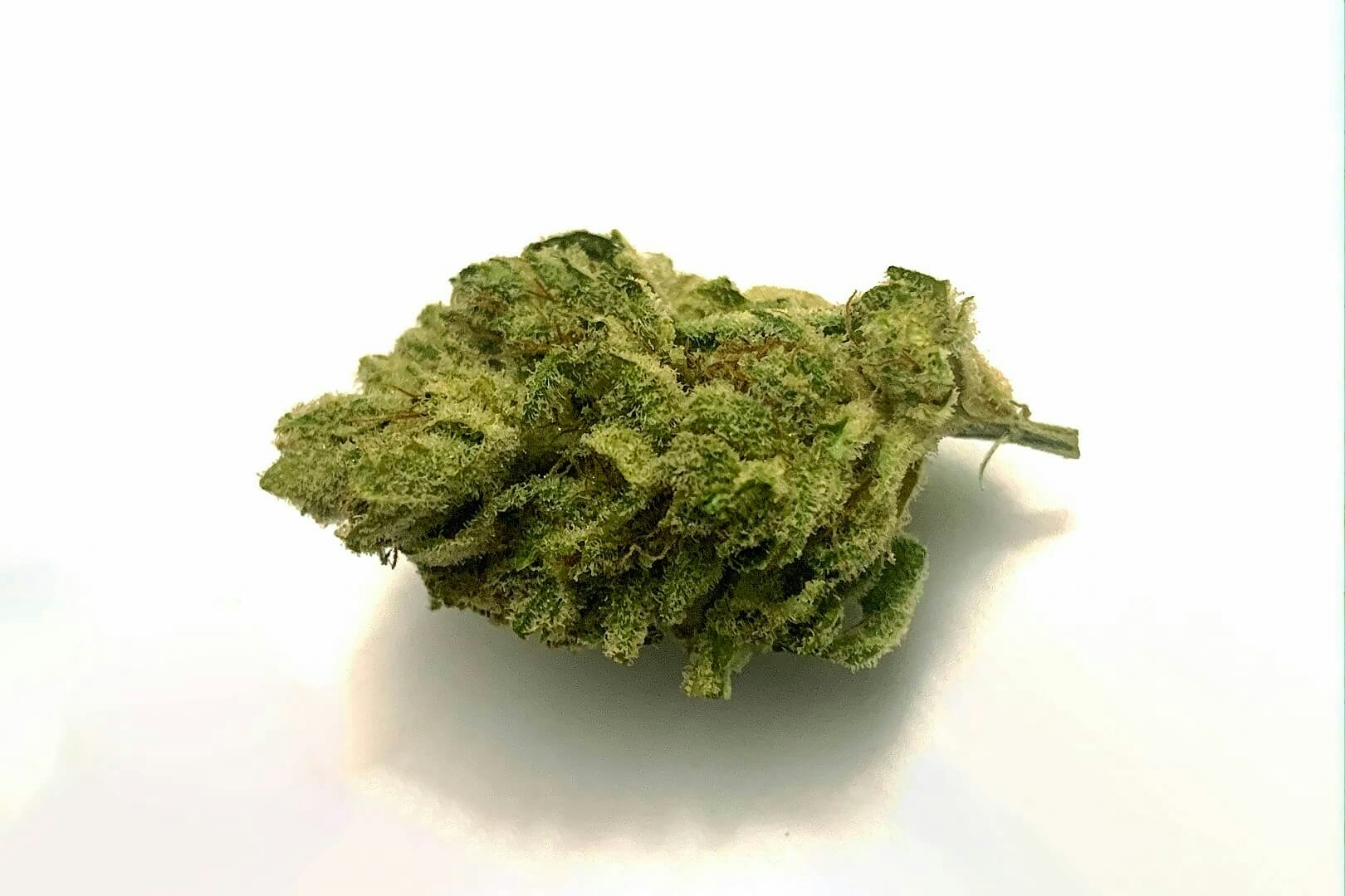 strains high in caryophyllene