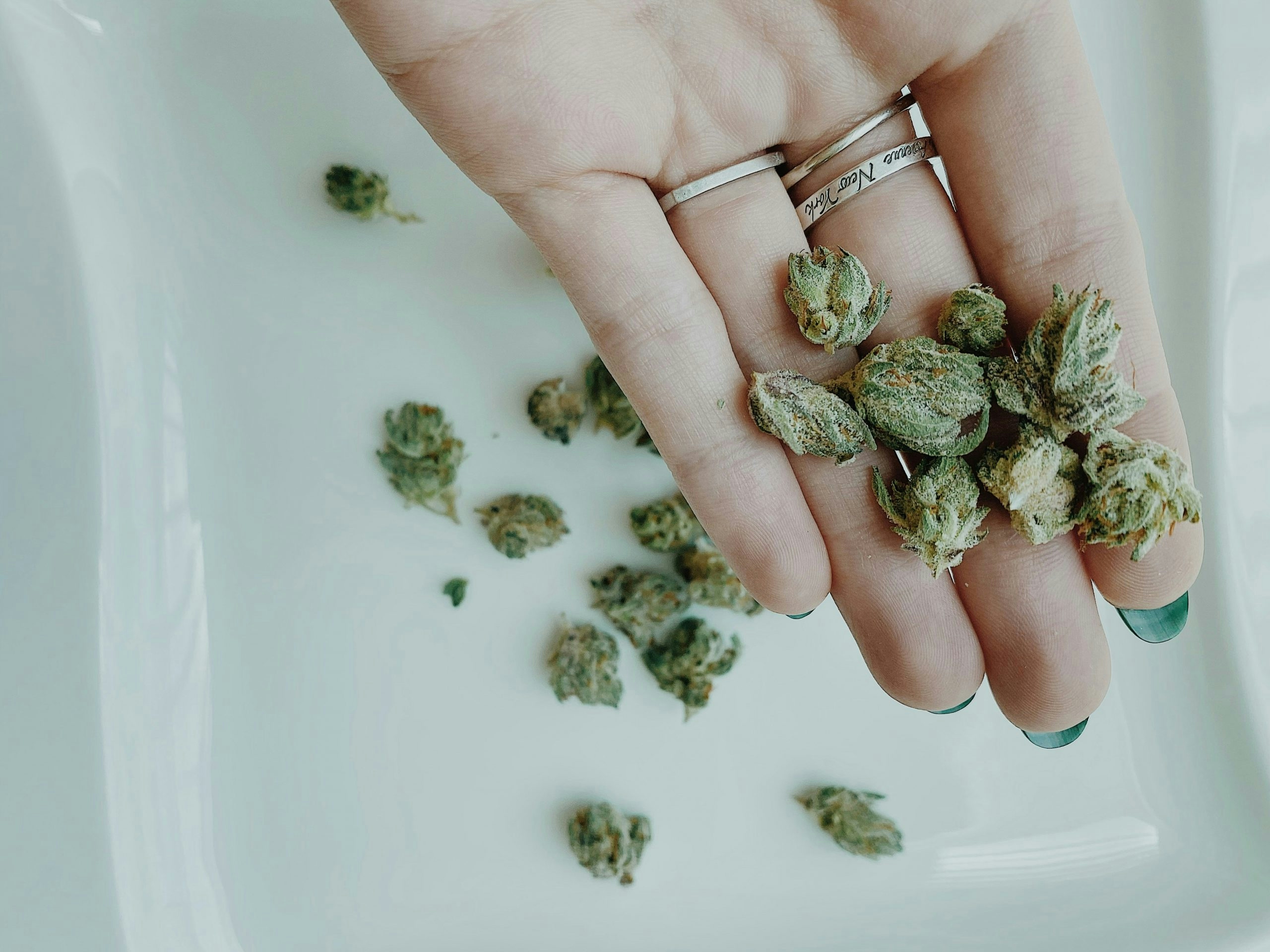 high limonene strains