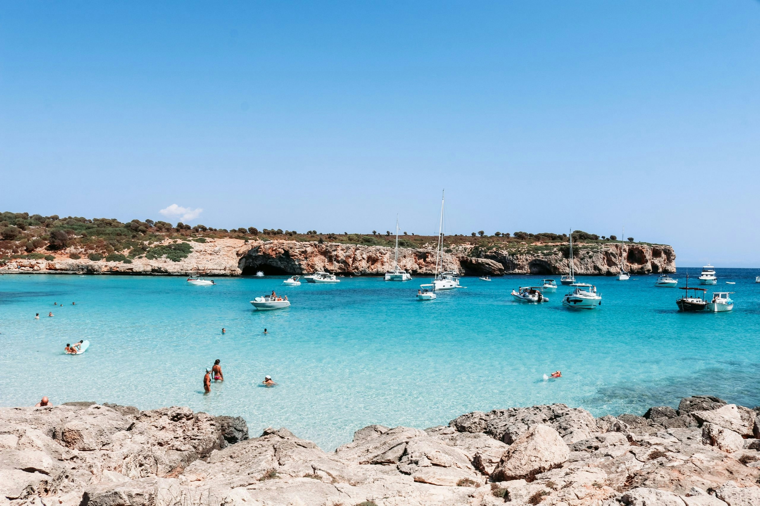 Palm-lined beach in Mallorca on a sunny summer day