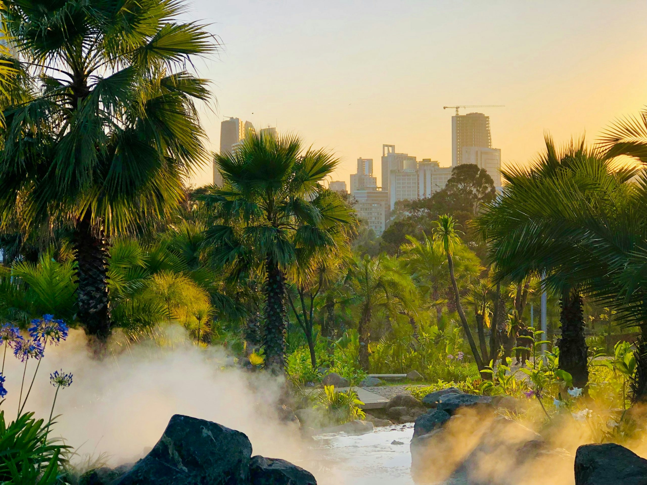 Scenic landscape in Ethiopia featuring rolling highlands and dramatic mountain views