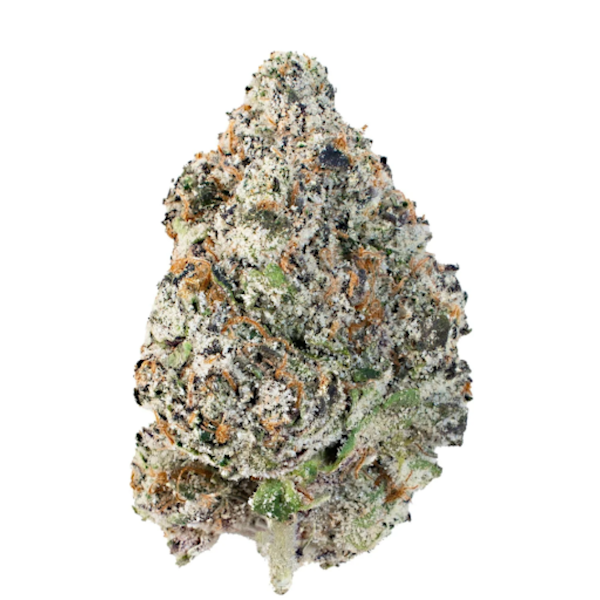 Free Sample – Premium THCa Flower
