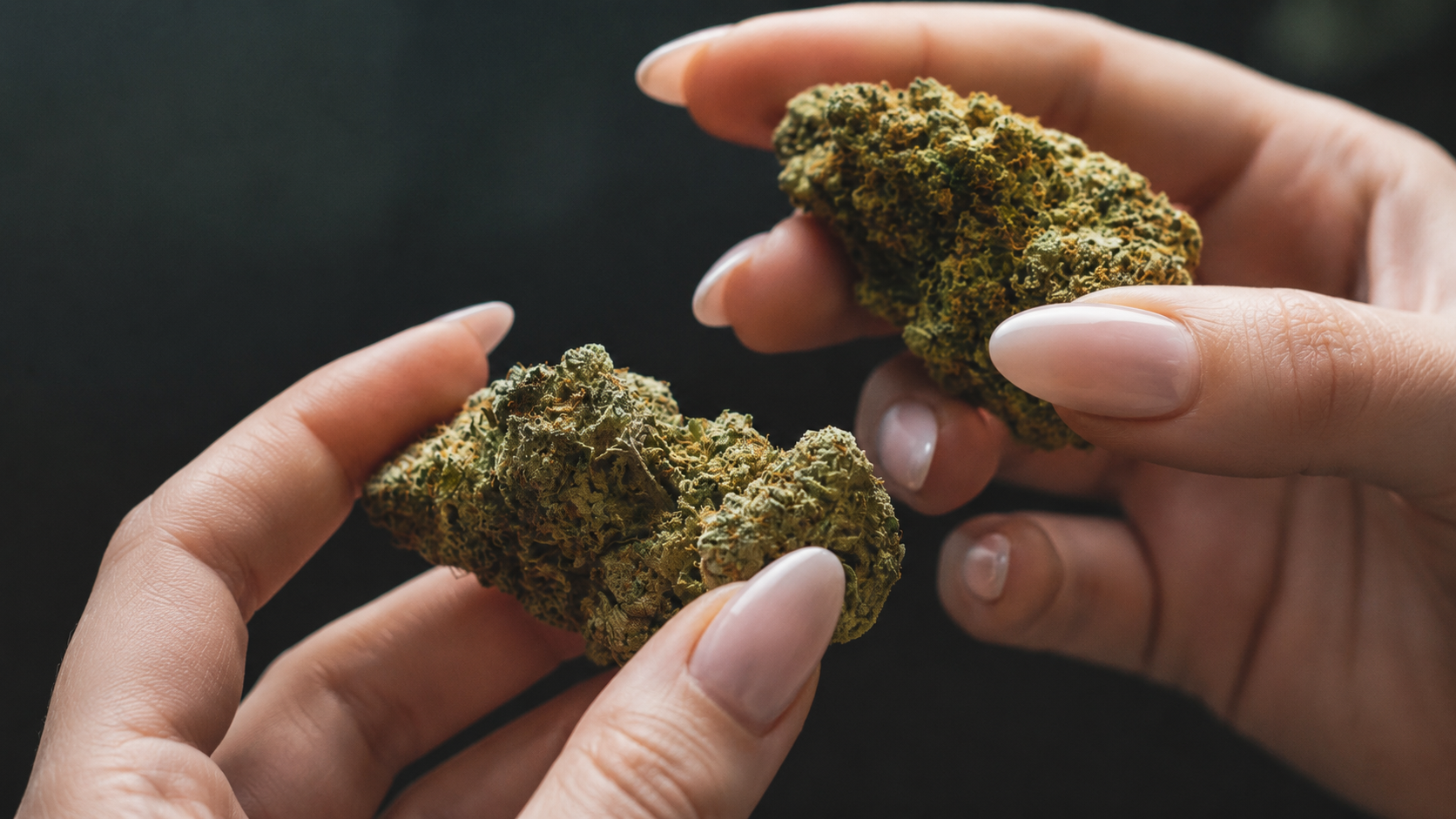 best high myrcene strains