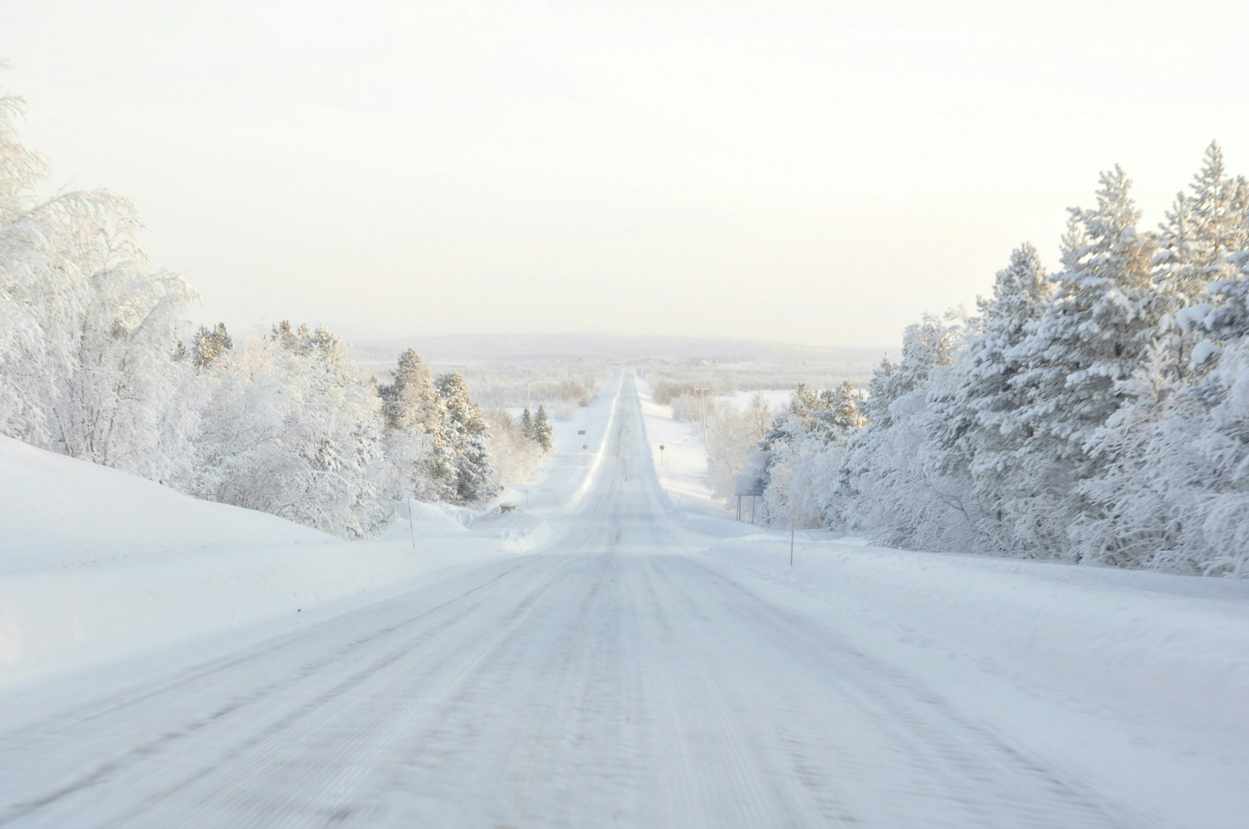 Snow-covered road winding through a peaceful forest in Finland.