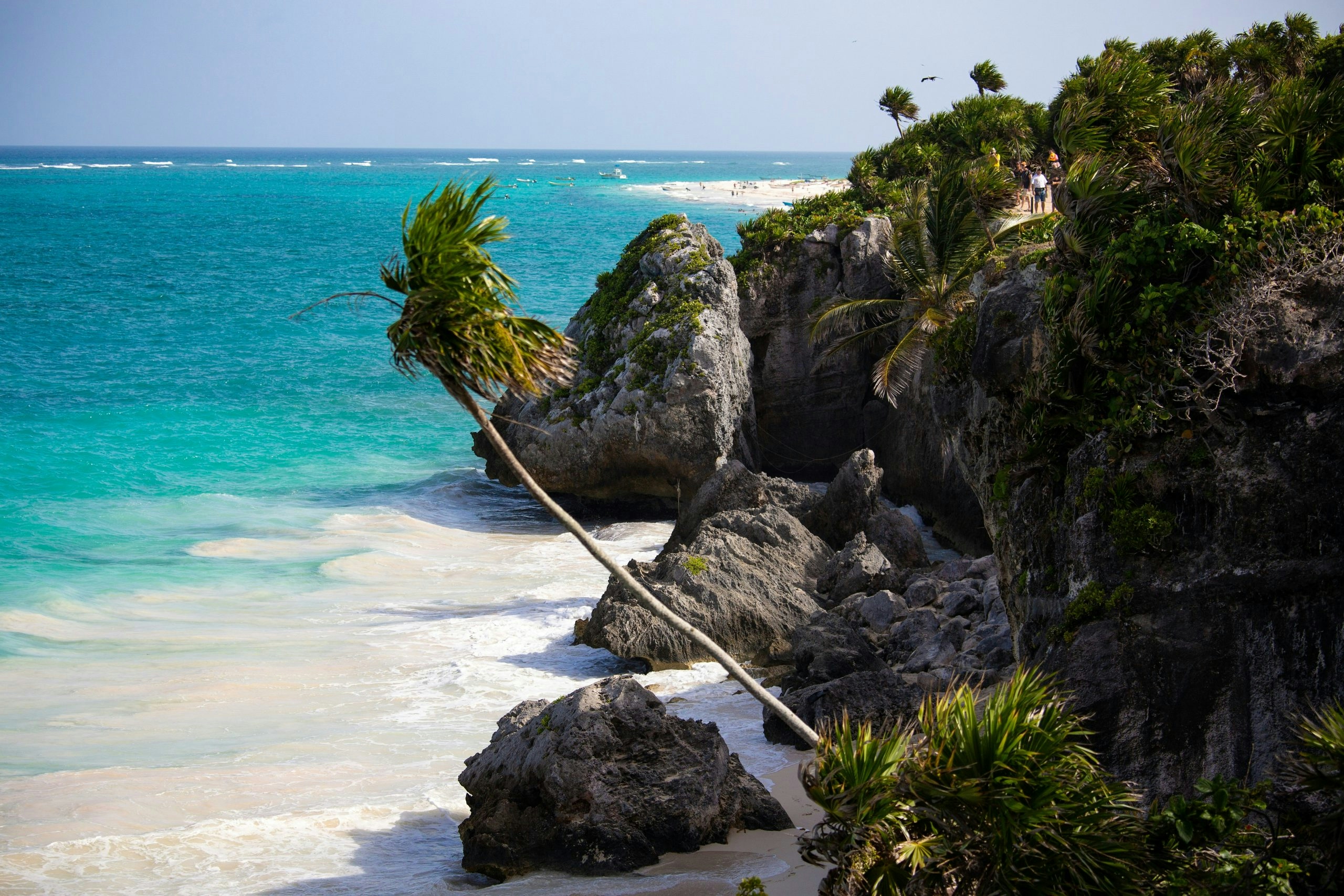 Palm trees lining the beautiful beaches of Tulum
