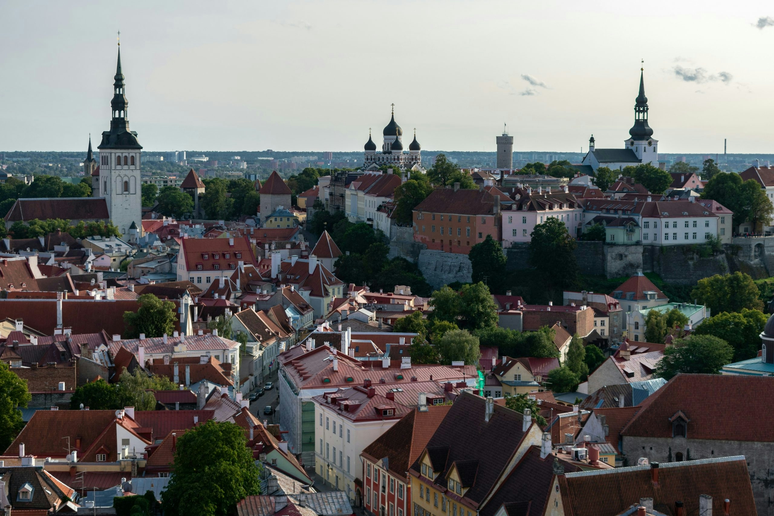 Street scene in Tallinn featuring visitors navigating the city and looking for local information, including how to buy weed in Estonia