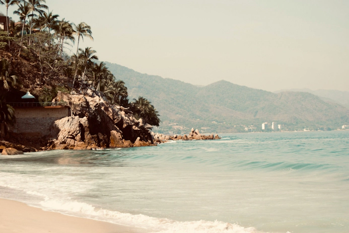 Buy Weed in Puerto Vallarta
