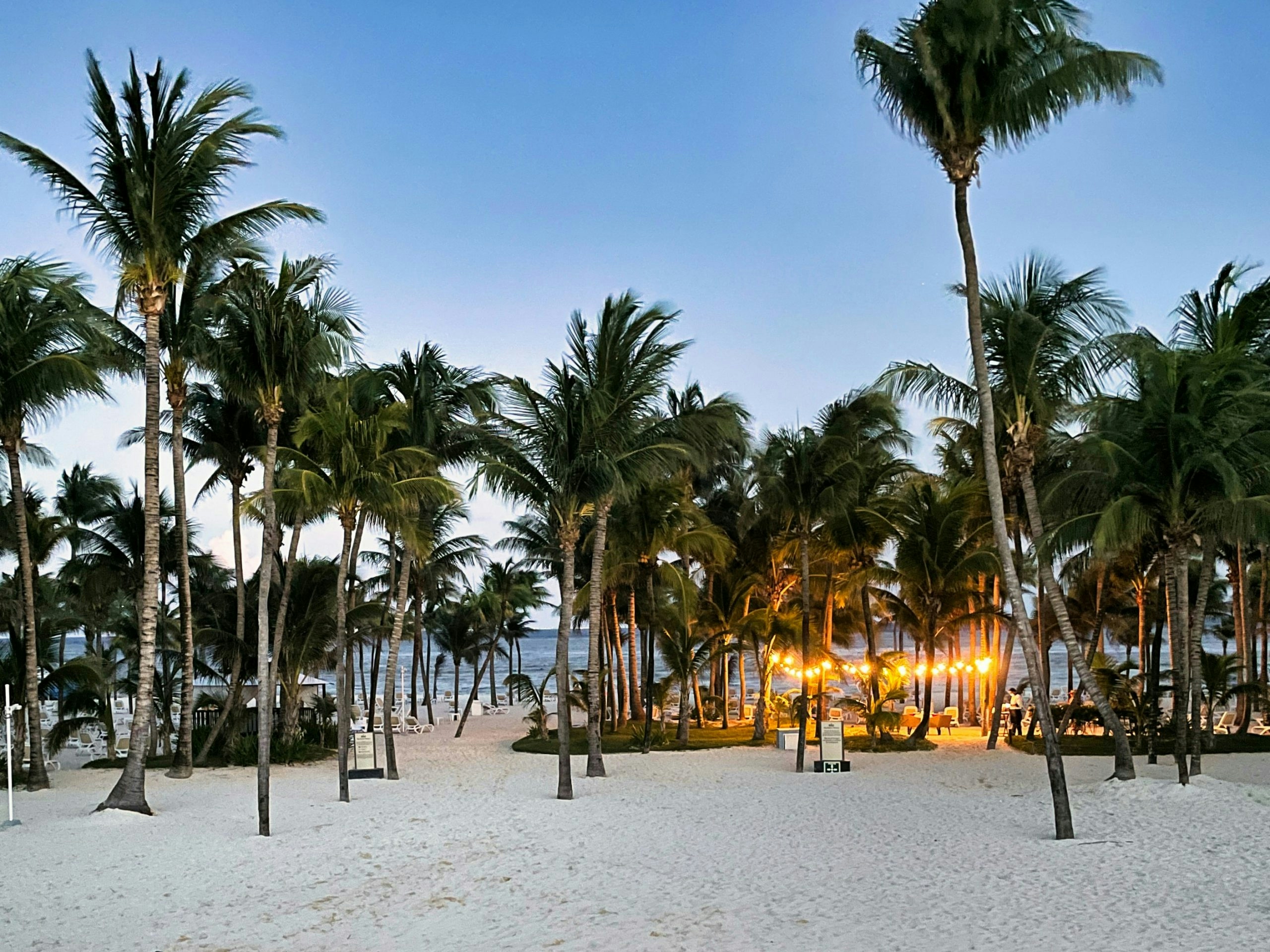 Buy Weed in Puerto Vallarta