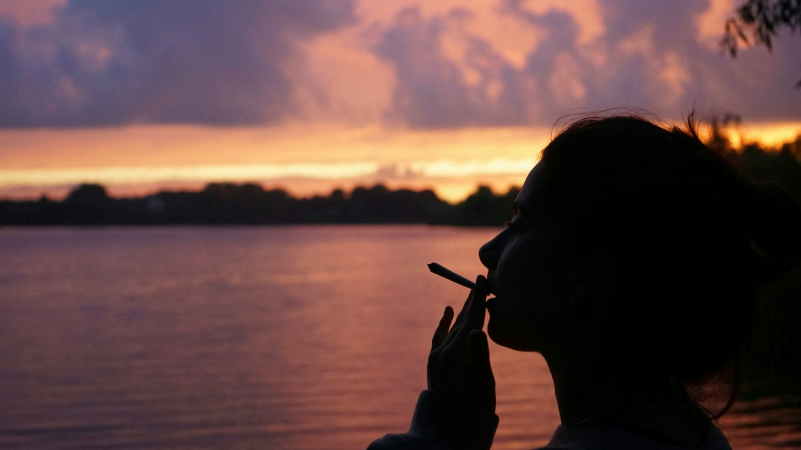 Buy Weed in Puerto Vallarta