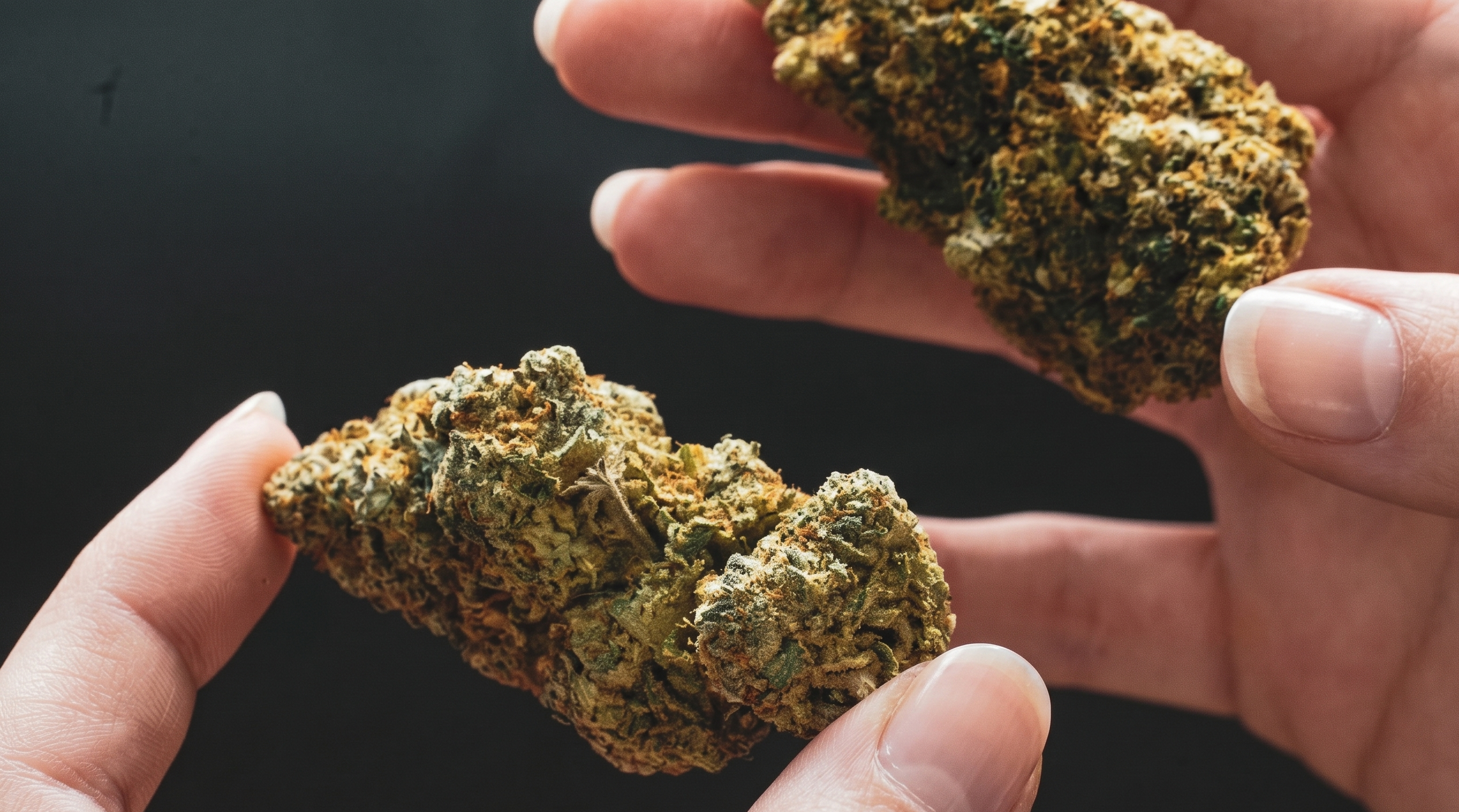 Buy Weed in Crete
