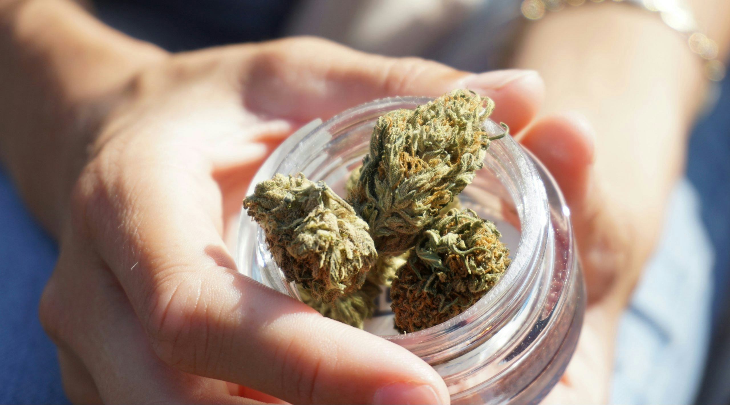 most powerful sativa strains