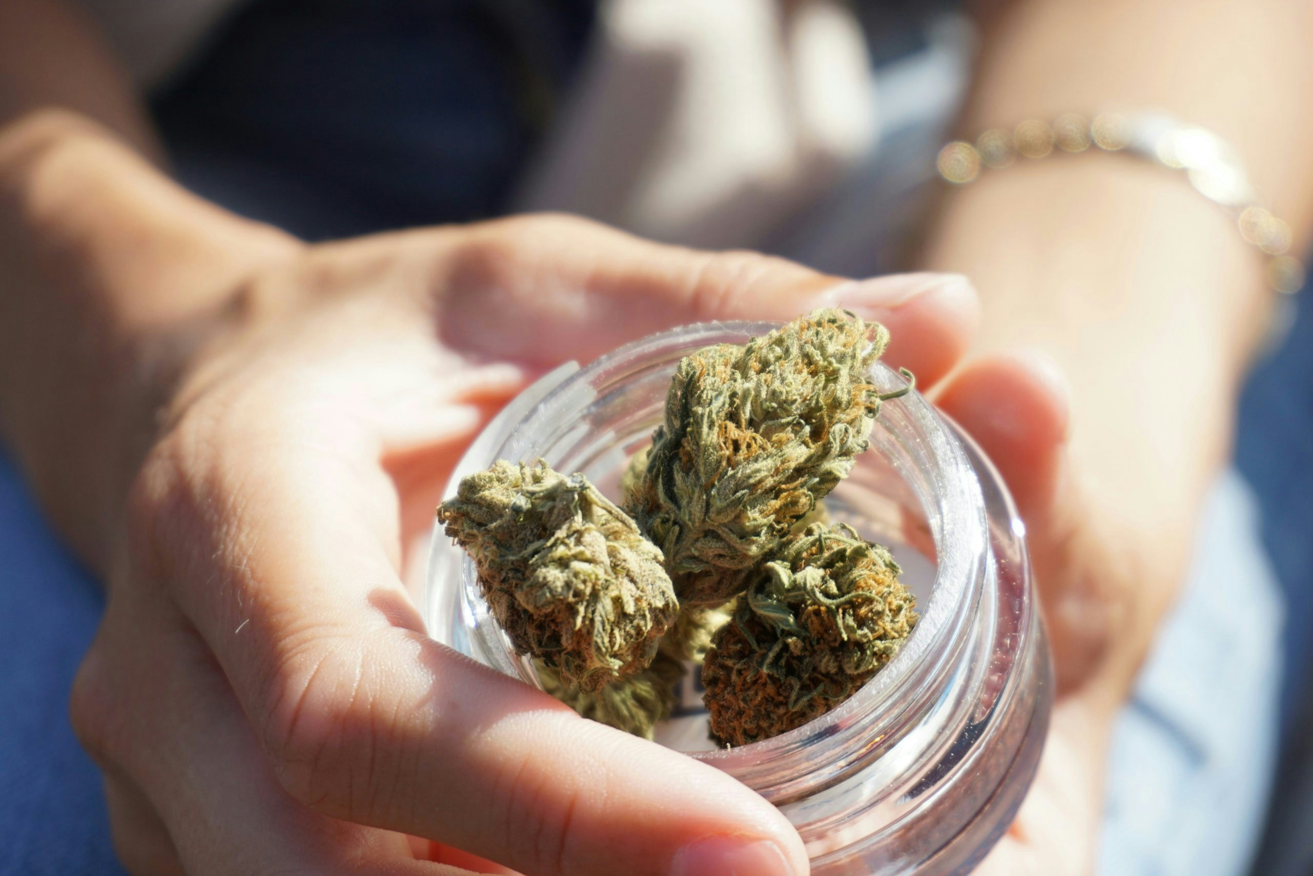 most powerful sativa strains