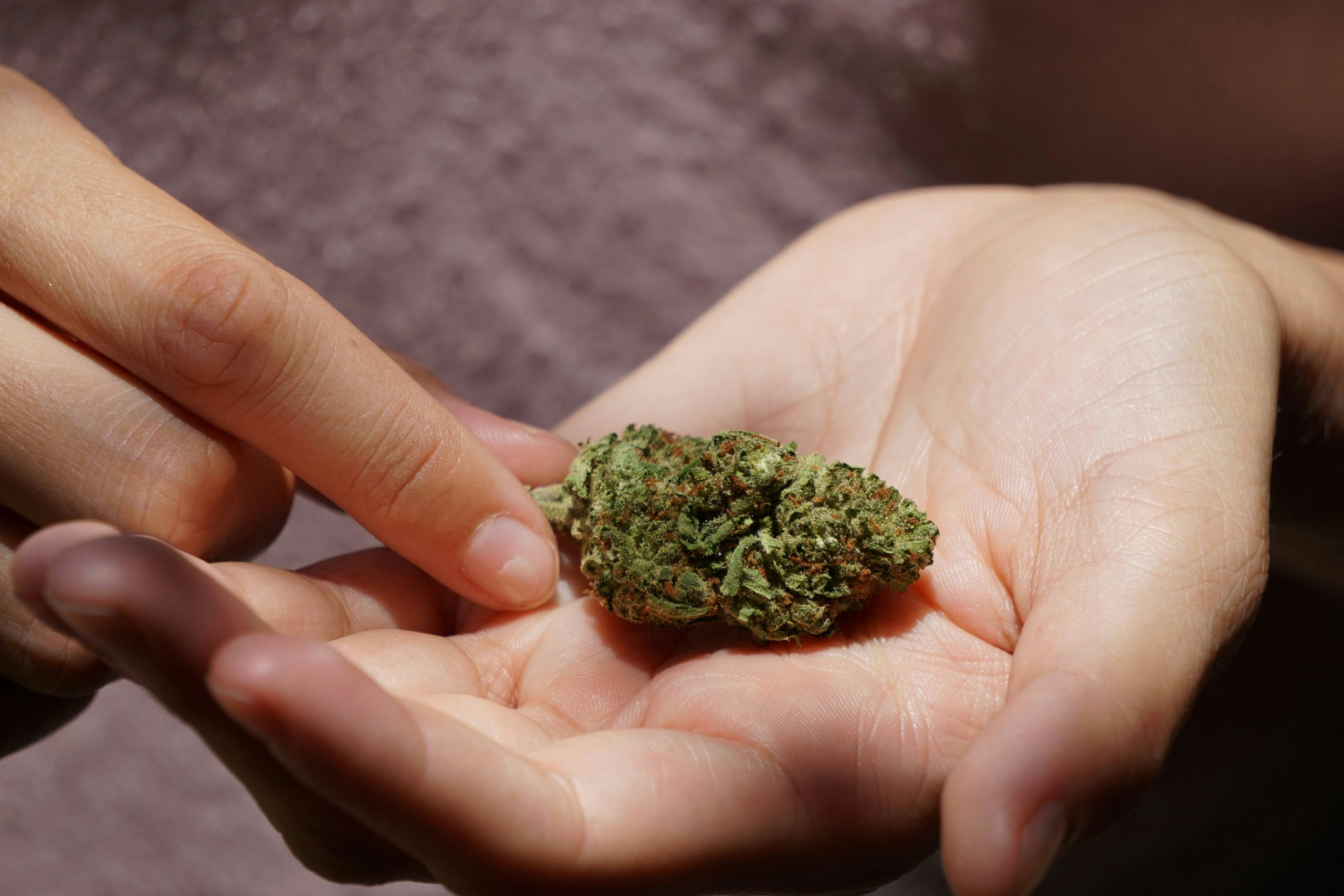 most powerful sativa strains