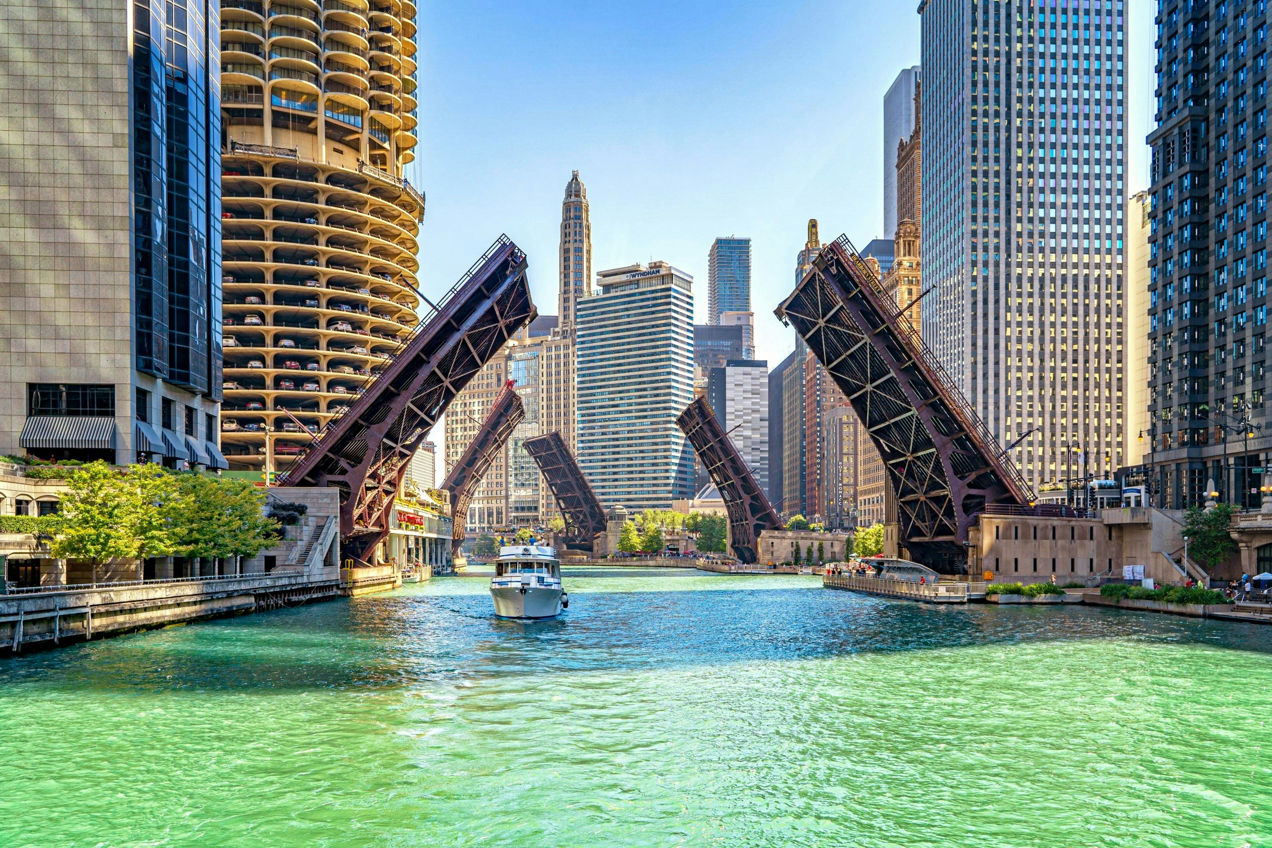 best weed brands in illinois